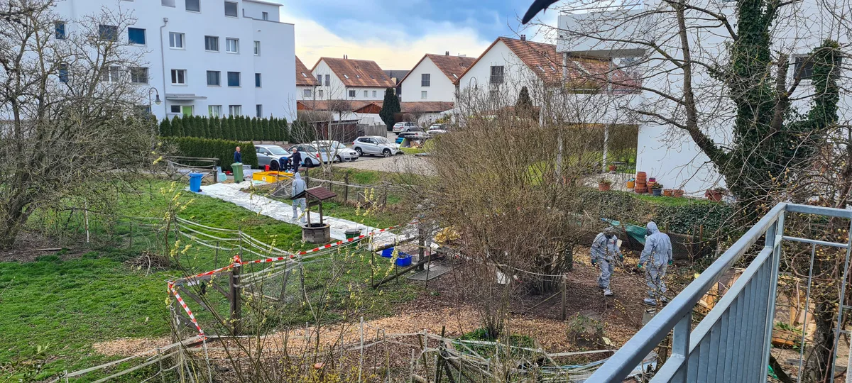 Drei Kilometer um den Hof gilt nun eine Überwachungszone. Man sieht Personen in Schutzanzügen auf einem Hühnerhof.